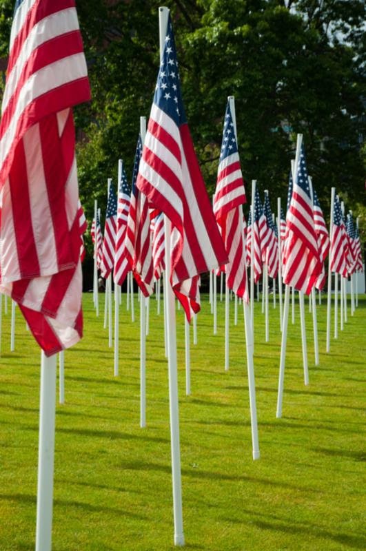 image of flags planted in the ground