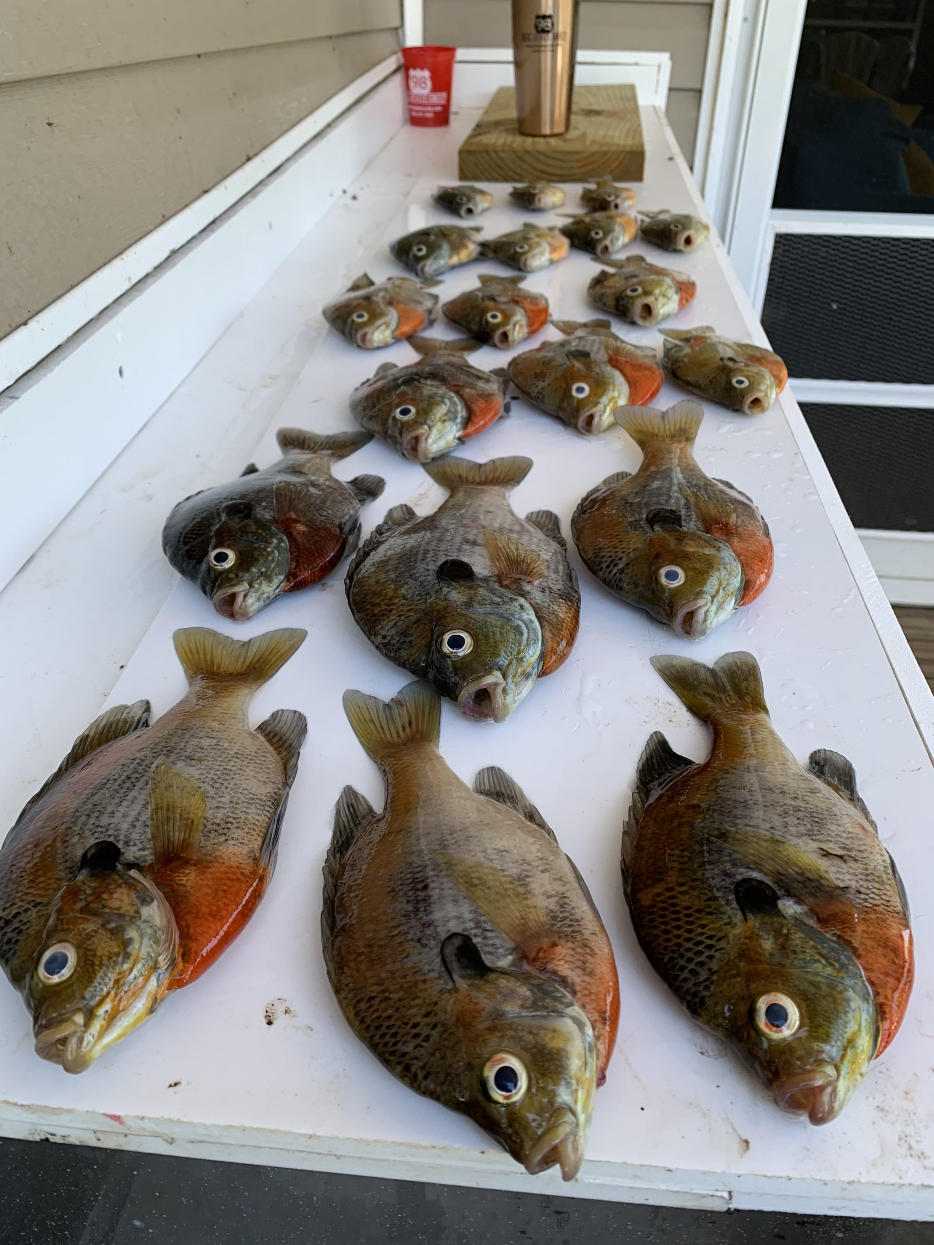 Fish market