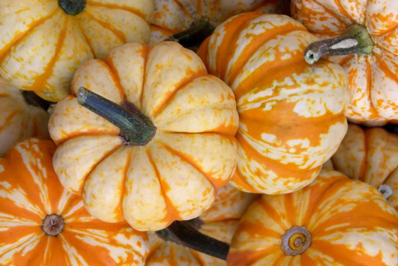 Pumpkins