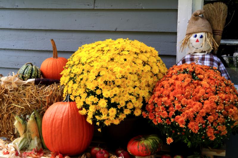 Halloween decorations
