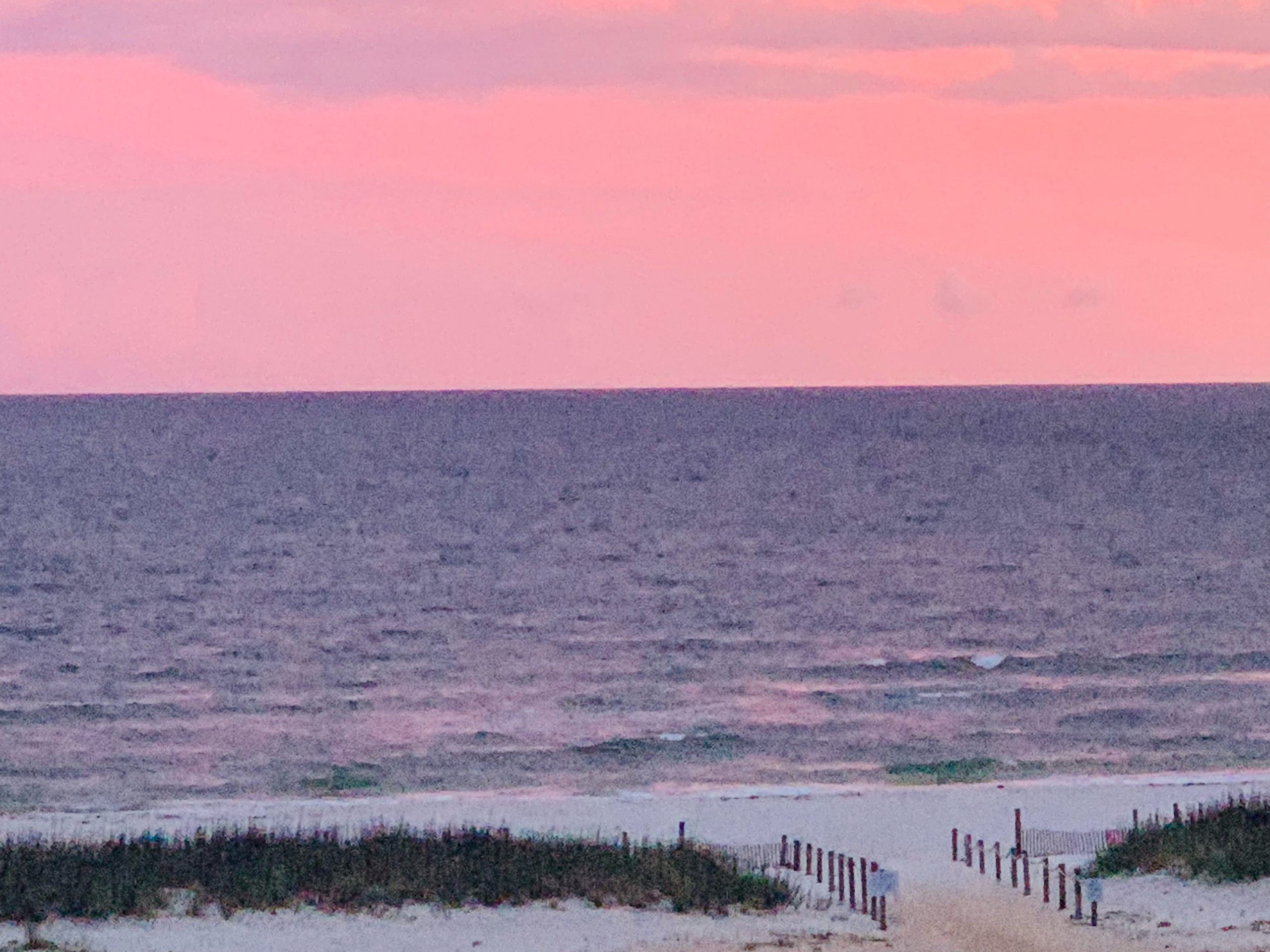 The beach
