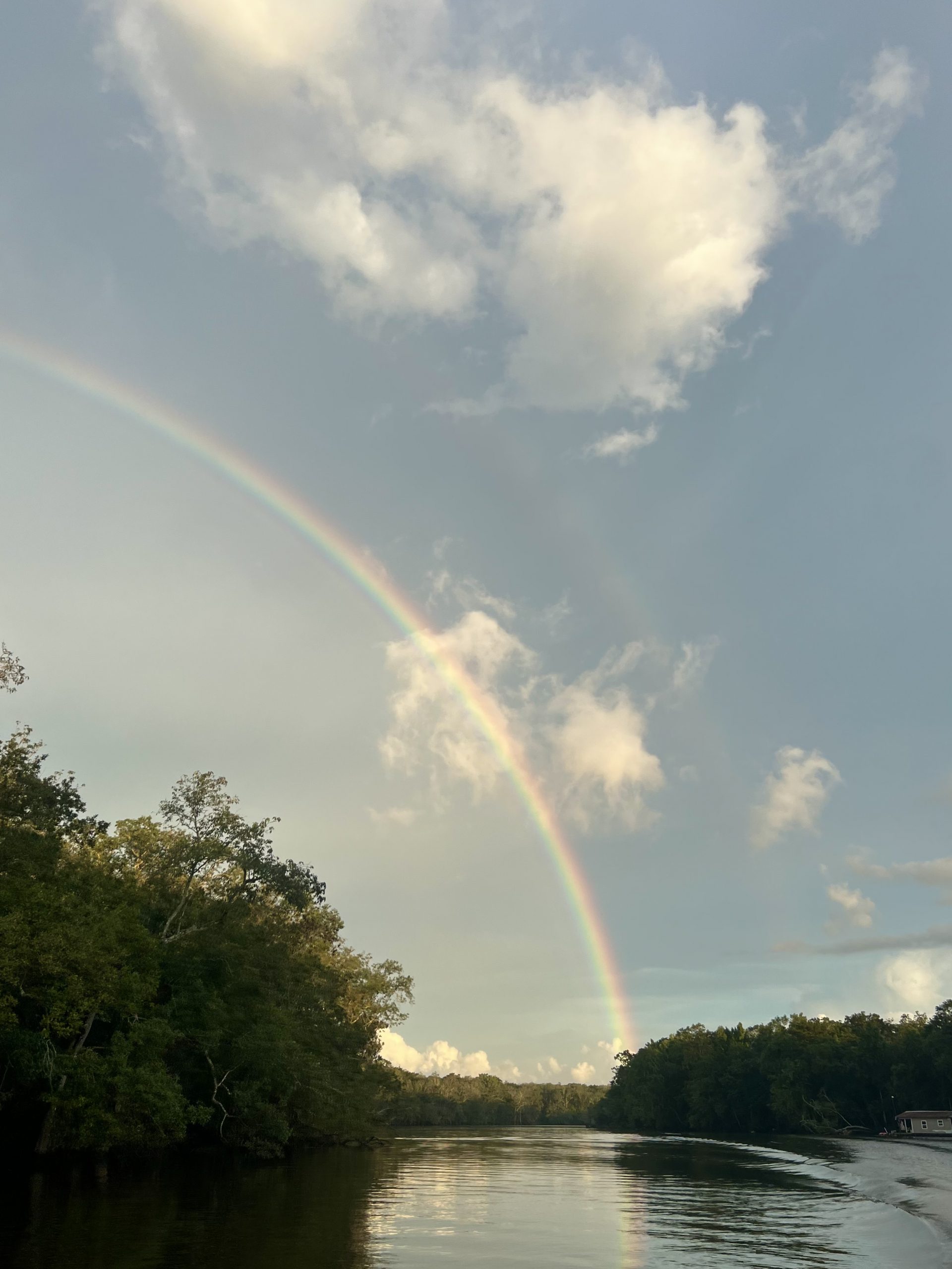Rainbow