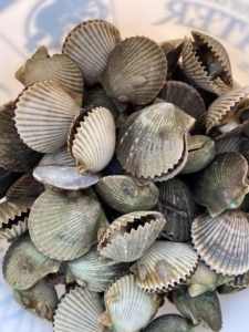 A bowl full of scallops