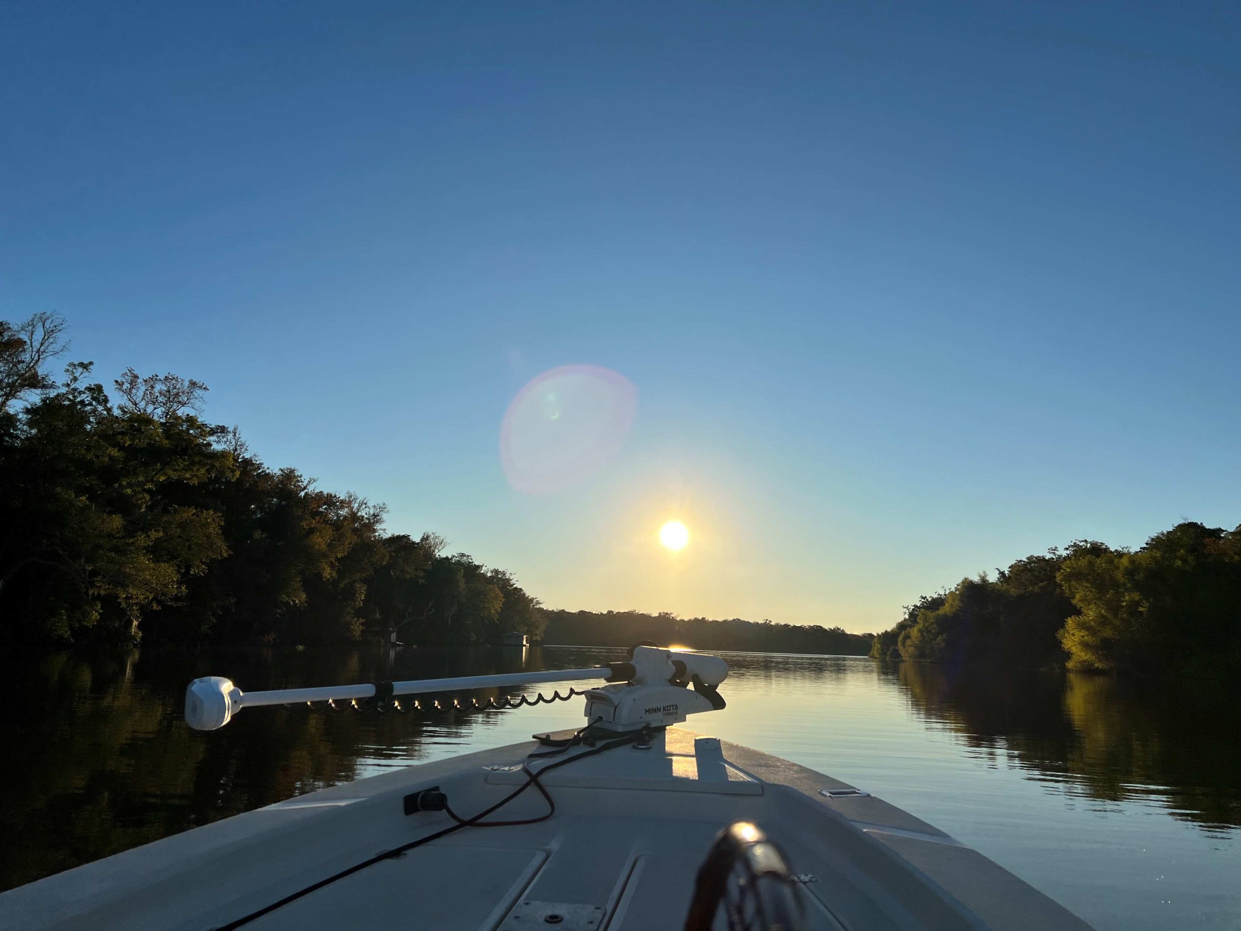 View of the river, trees from the boat